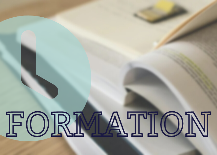 Visuel simple - formation membre - Le Mouvement associatif PACA